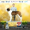  - 19-03-2023 Holland Cup - Int. Dogshow Rijnland with Crufts Q.