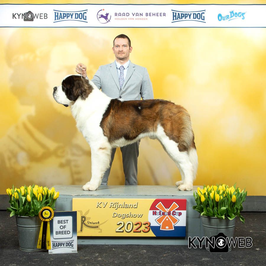 19-03-2023 Holland Cup - Int. Dogshow Rijnland with Crufts Q.